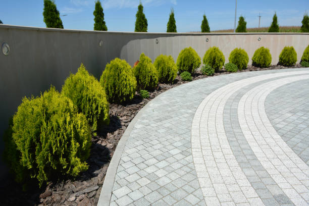 Best Driveway Pavers Near Me  in Buffalo, TX